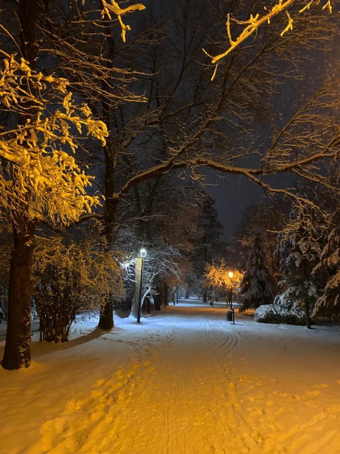 Apartament I Pokoje Goscinne U Lusi Wisla Luaran gambar