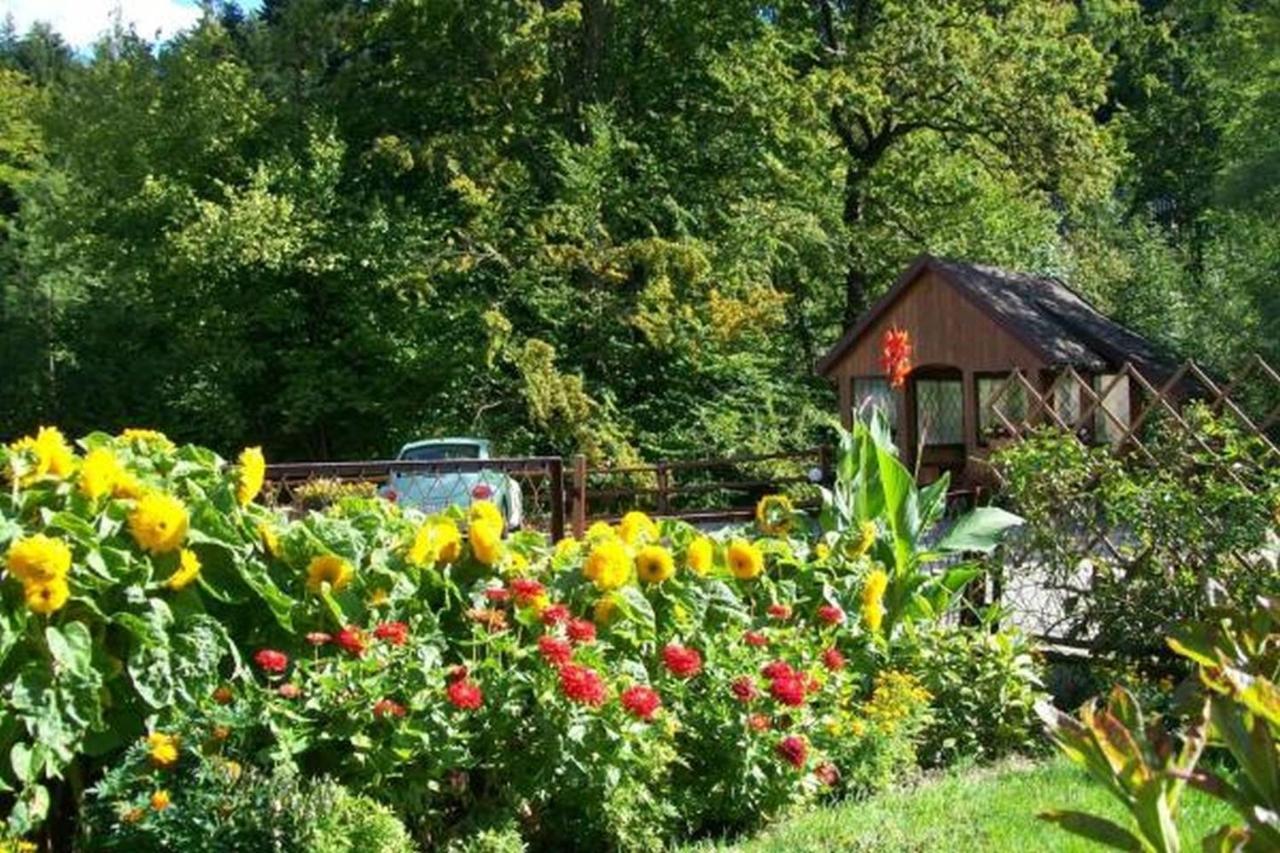 Apartament I Pokoje Goscinne U Lusi Wisla Luaran gambar