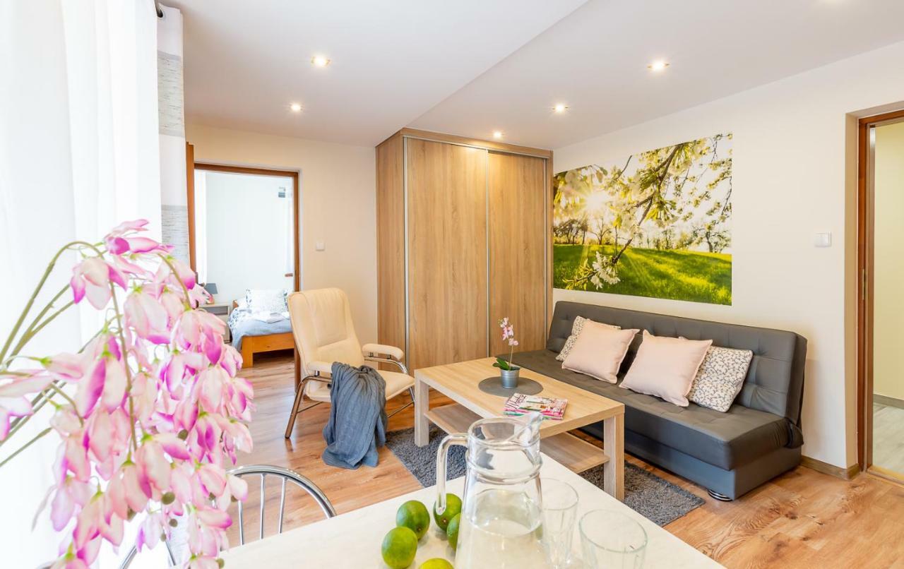 Apartament I Pokoje Goscinne U Lusi Wisla Luaran gambar