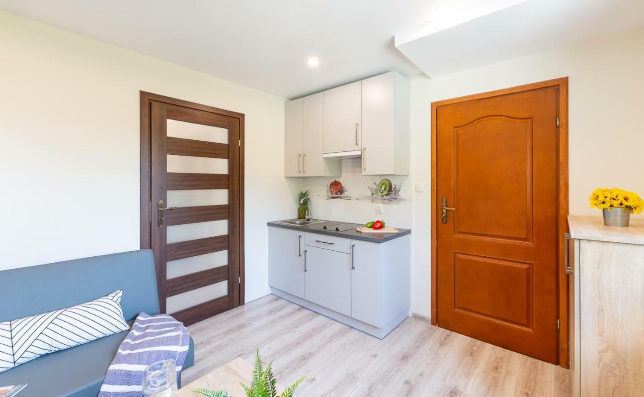 Apartament I Pokoje Goscinne U Lusi Wisla Luaran gambar